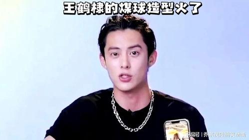 王鹤棣网友爆料视频大全,揭秘明星幕后生活瞬间  第2张